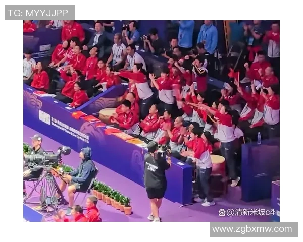 成都乒乓球队比赛经验引发热议球迷观点各异探讨背后原因