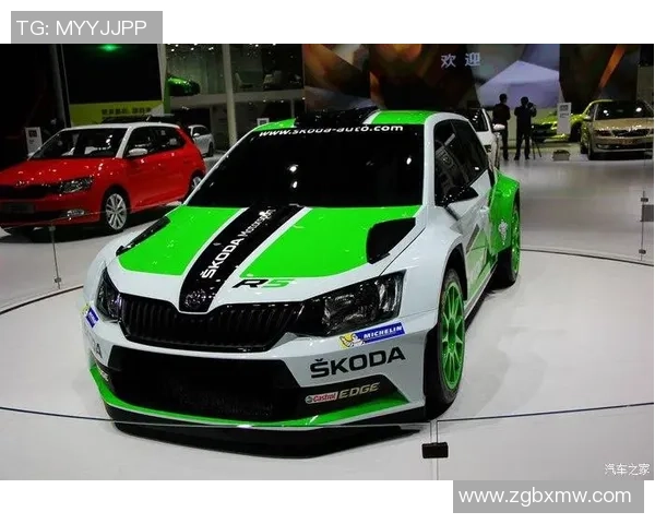 荷兰足球明星坚持绿色出行选择不坐飞机的环保理念与行动